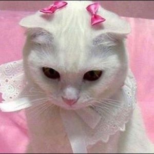 Meet your Posher, Christen